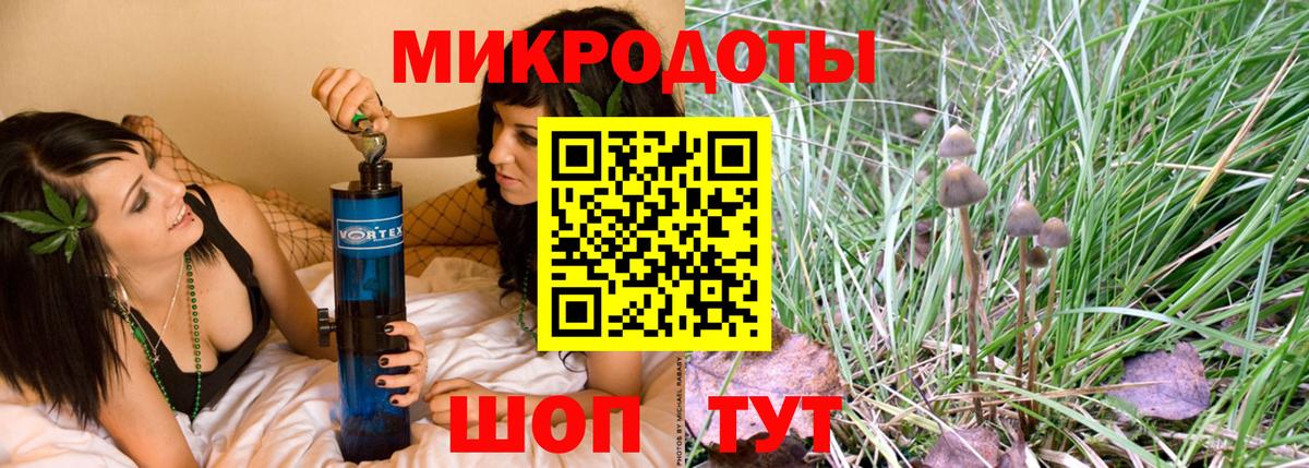 Псилоцибиновые грибы Psilocybine cubensis Якутск