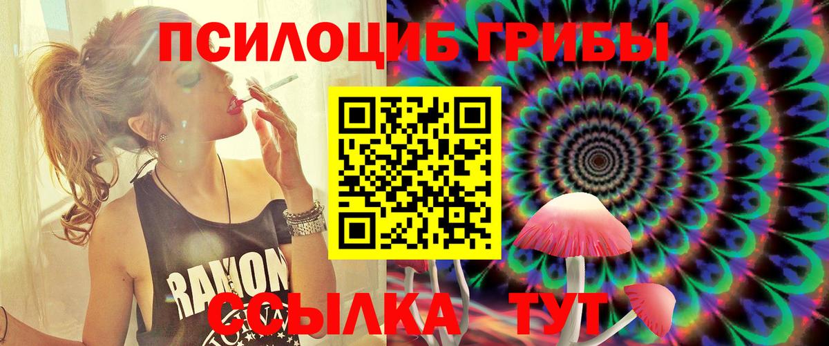 Псилоцибиновые грибы GOLDEN TEACHER  Вход с VPN  Якутск 
